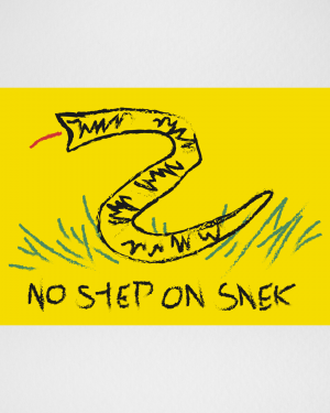 The No Step On Snek Flag