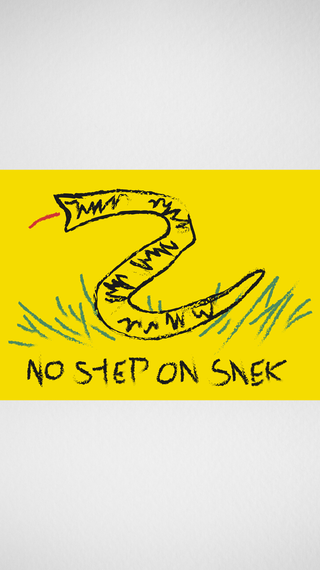 The No Step On Snek Flag - Sik-Nastee Apparel Co.